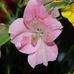 Photography &amp; Visual Art, Tammy Crossman - Facebook