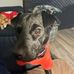 Tammy Crossman - Facebook