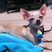Tammy Croy - Facebook