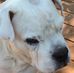 Tammy Croy - Facebook