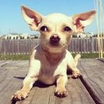 Tammy Croy - @croytlc1221 - Instagram