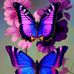 Tammy Croy - Facebook