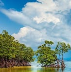 Damian Dami - Facebook