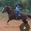 Tammy Bishop Daigle - @tammy.bishop.daig - TikTok