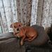Tammy Dailey - Facebook