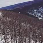 Tammy Daly - @tammydaly726851 - Instagram