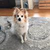 Tammy Danielson - @nerdytamu - TikTok