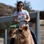 Tammy Danielson - @tamdan222 - Instagram