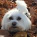 Tammy Danner - Facebook