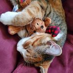 Tammy Danner - @tdanner1963 - Instagram