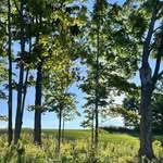 Tammy Gradwohl Danner - @tlynnda1371 - Instagram