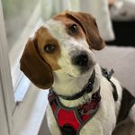 Tammy Deeb - @tdeeb66 - Instagram