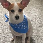 Tammy DeFazio - @tiny_roo_ - Instagram
