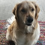 Tammy Petrick DeLeon - @tammypetrickdeleon - Instagram