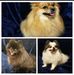 Tammy Denham - Facebook