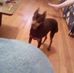 Tammy Denham - Facebook