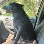 Tammy Parker Denham - @tammydenham6 - Instagram