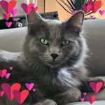 Tammy Dent - @tammy_perry_ - Instagram