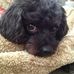 Tammy Ressler-DeSantis - Facebook