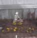Tammy Deshazer - Facebook