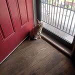 Tammy Deshazer - @tammy.deshazer.79 - Instagram