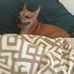 Tammy Deshazer - Facebook