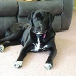 Tammy Devlin - @tammy.devlin.77 - Instagram