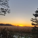 Tammy Barcikowski-Dingman - @tding10 - Instagram