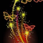 Tammy Dingman - @tammy.dingman.1238 - Instagram