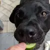 Tammy Doan - @tammy._doan - TikTok
