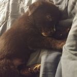 Tammy Doane - @doane3373 - Instagram