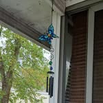 Tammy Doane - @tdoane2017 - Instagram