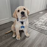 Tammy Doering - @nsd_brady - Instagram