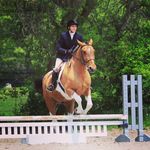 Tammy Doering - @doeringt67 - Instagram