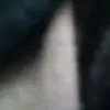 lilly - @tammydoherty5182 - TikTok