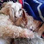 Tammy Doherty - @dohertyt4167 - Instagram