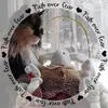 Tammydoherty804 - @tammydoherty804 - TikTok