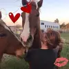 Tammy Doster - @tammy.doster - TikTok