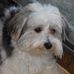 Tammy Doty - Facebook