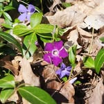 Tammy Doty - @tammy_doty4 - Instagram