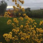 Tammy Shirley Doty - @tshirley1029 - Instagram