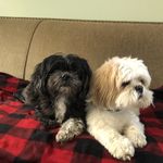 Tammy Dowd Dubose - @dowd575bend - Instagram