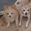 tammyodowd - @tammy.odowd - TikTok