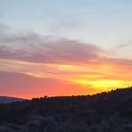 Tammy Dowell - Facebook