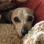 Tammy Dowell Wingler - @tammy_winglerr_wee_ - Instagram