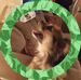 Tammy Downer - Facebook