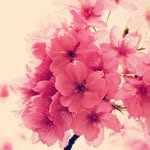 Tammy Downer - @tammyjdowner - Instagram