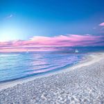 Tammy Downey - @tammy.downey.96592 - Instagram