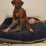Tammy Downey - @eastcoastginger902 - Instagram