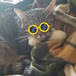 Tammy Drumheller - @tammara.drum46 - Instagram